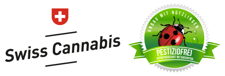 Cannabis Cannabis